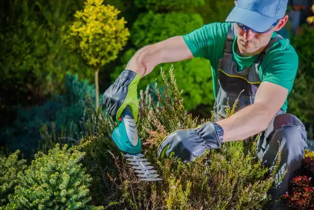 landscaping services Strafford